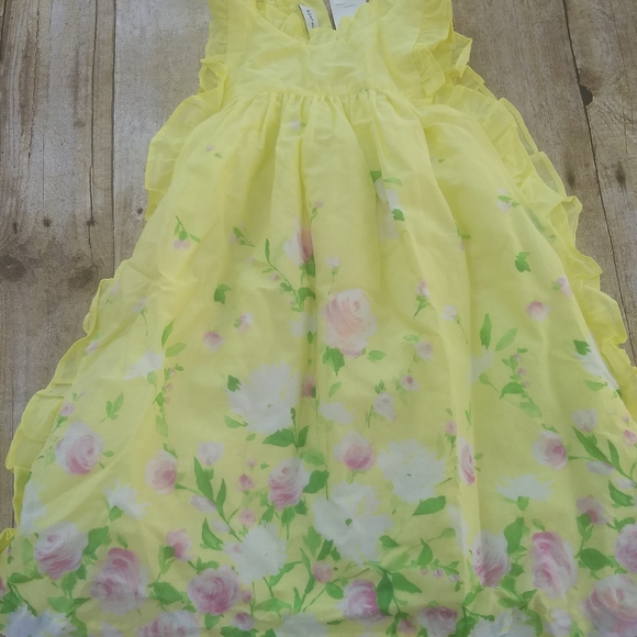 Janie and Jack Dress size 4 - Picture 12 of 12
